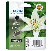 Epson T0598